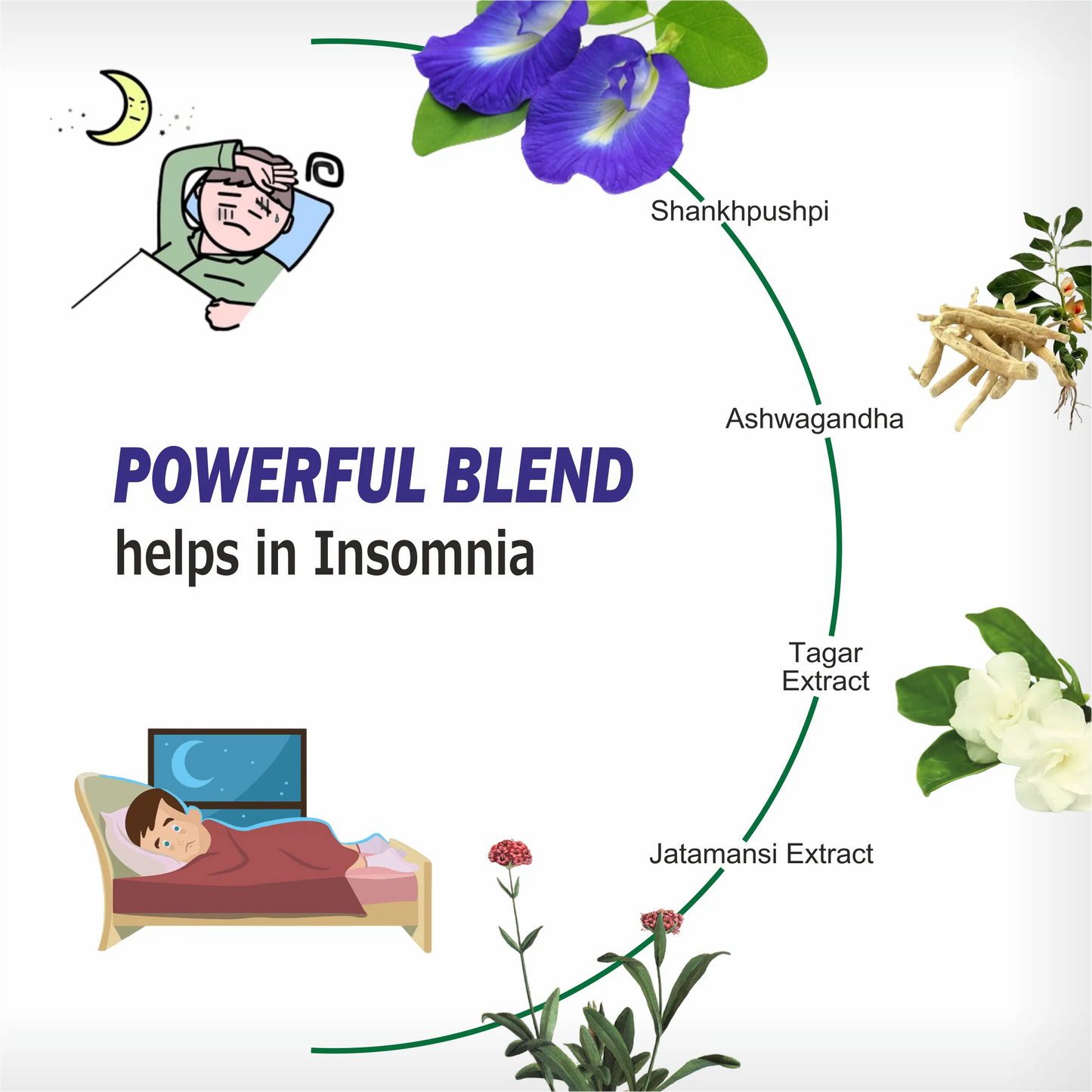 Total Sleep Capsules for Insomnia - 60 Capsules